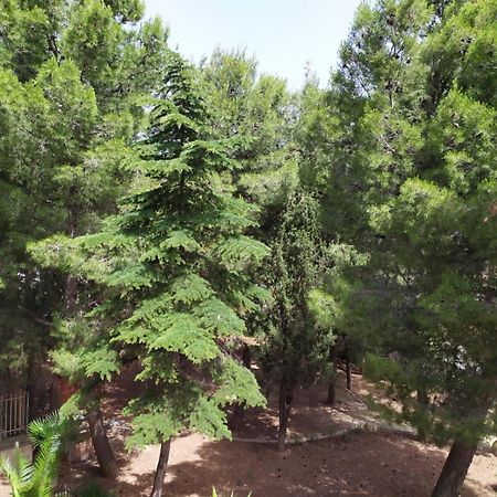 مبيت وإفطار تراني Terra Bianca الغرفة الصورة