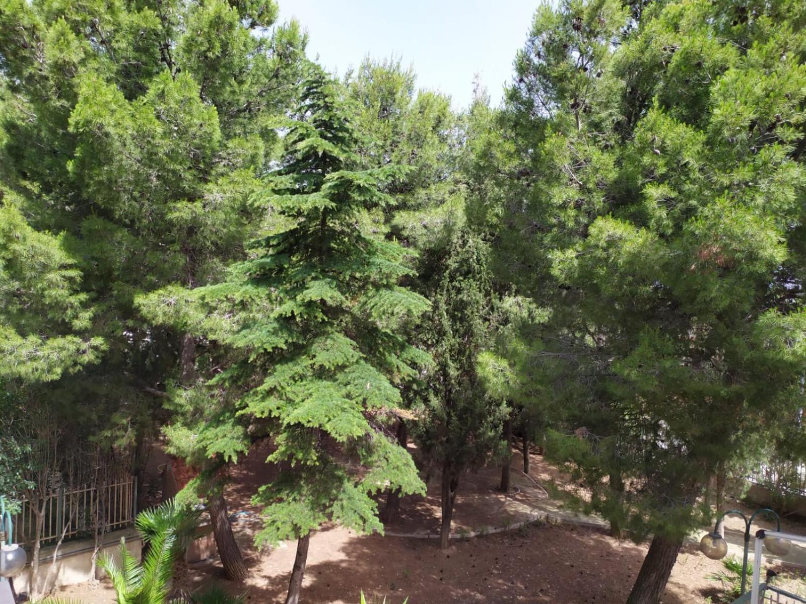 مبيت وإفطار تراني Terra Bianca الغرفة الصورة